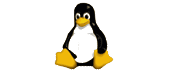 Linux outsourcing Linux outsourcing